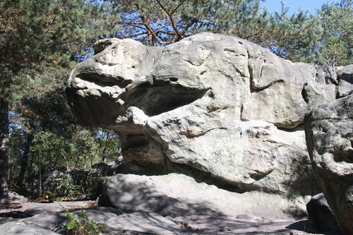 Area cover image showing a relevant boulder.